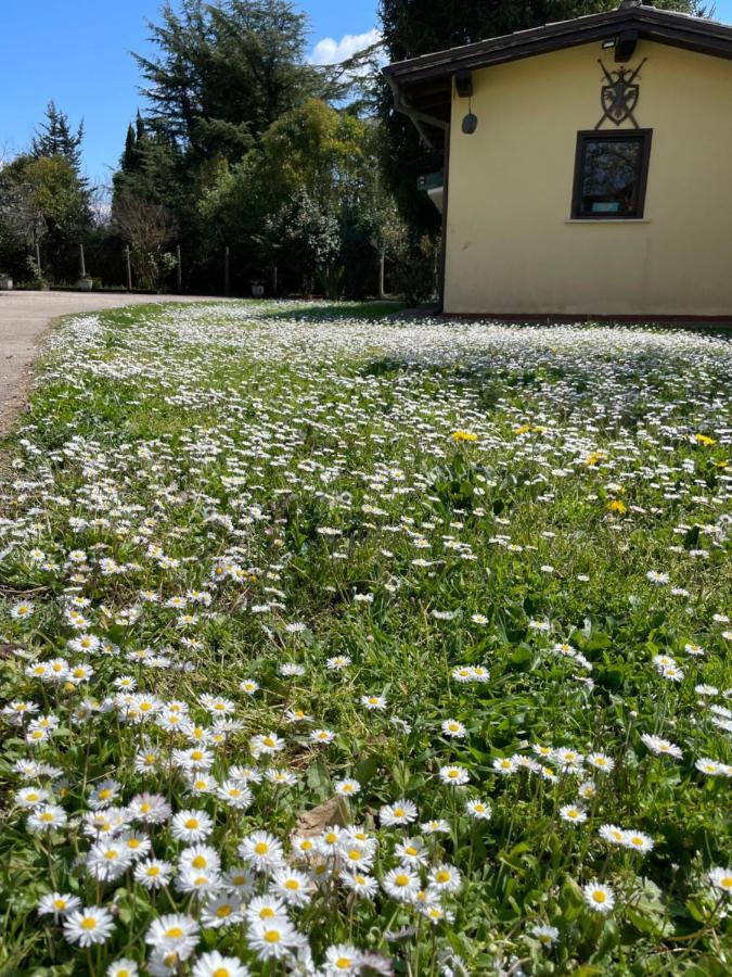 B & B Casal Pereto Valmontone Exterior foto